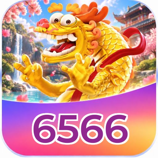6566 Promotions